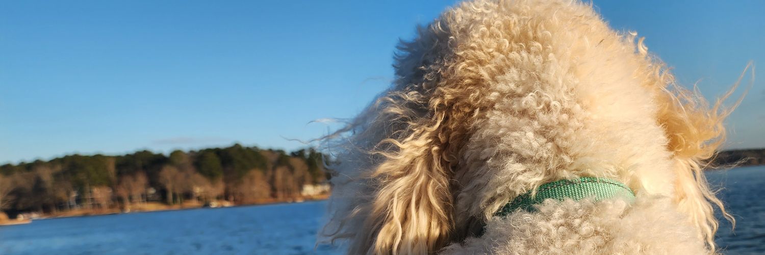 kdkasler's profile banner image