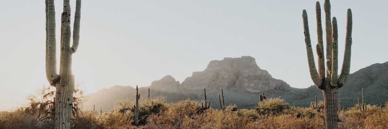 leahlou07's profile banner image