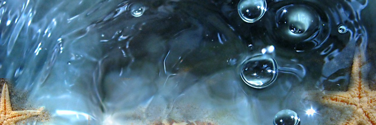 Animals Belize banner