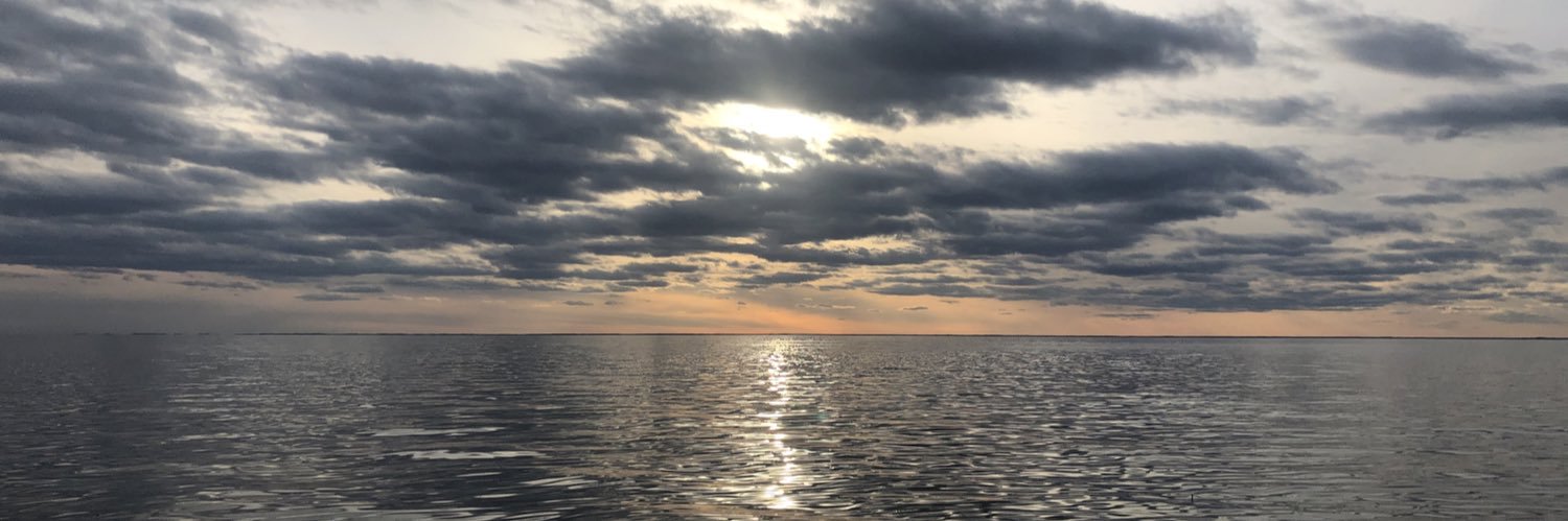 perrobert's profile banner image