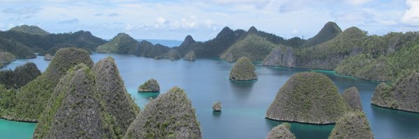 ADuchelle Profile Banner