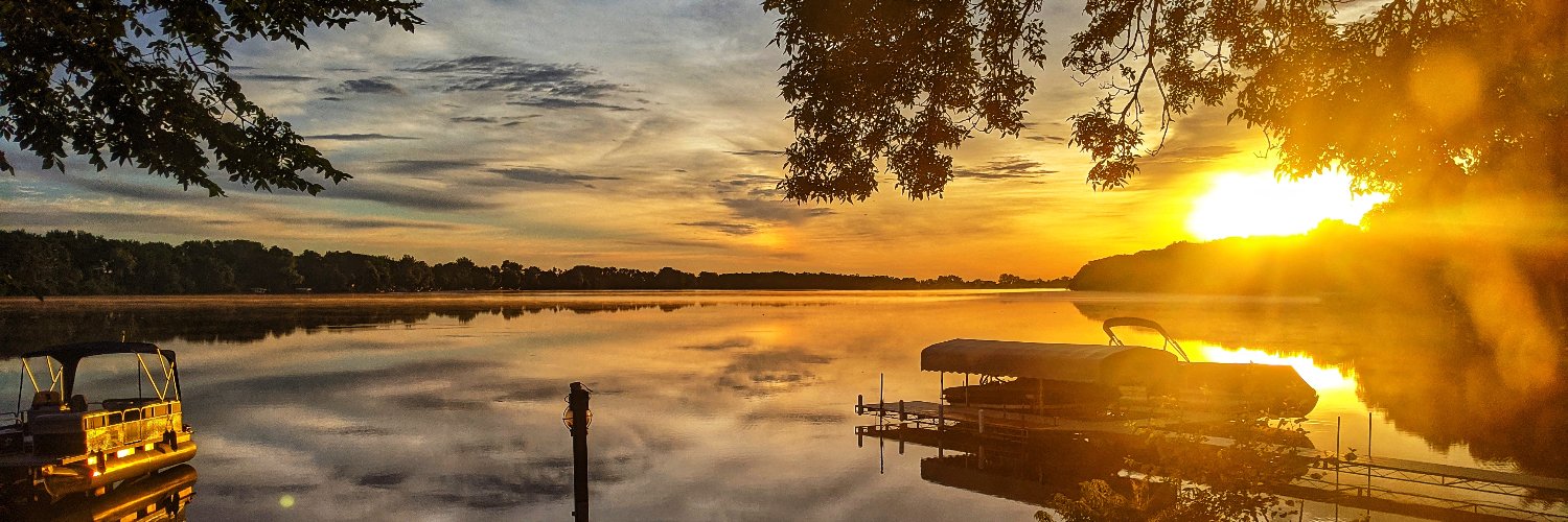 Dominique Dynes banner