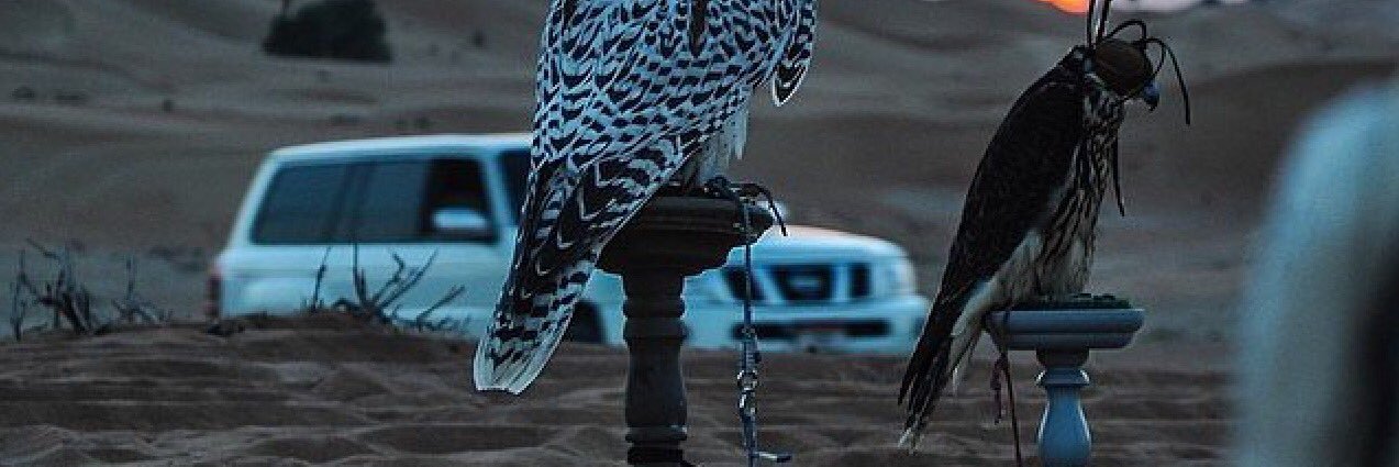 kwkk55's profile banner image