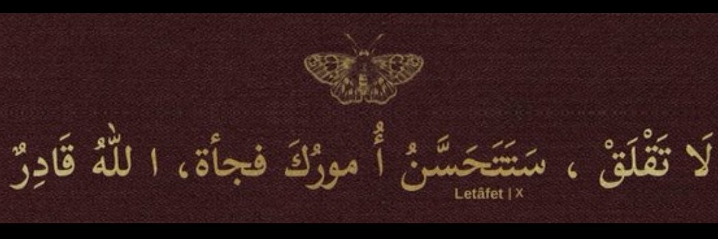 ZeynepORTAK's profile banner image