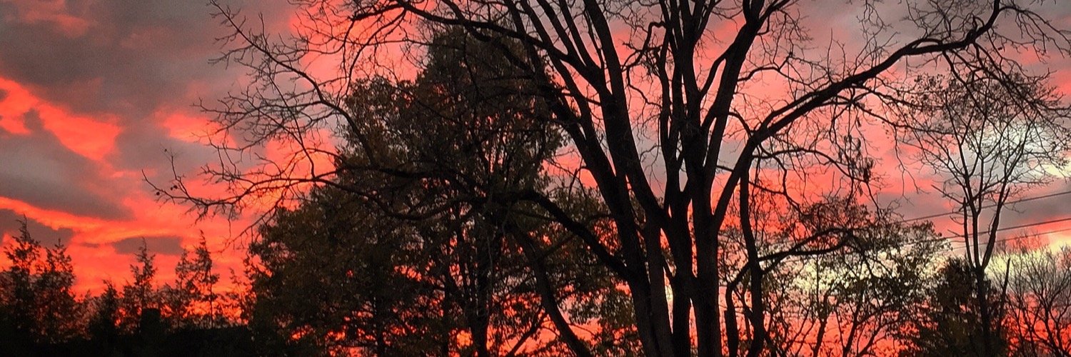 13msmith's profile banner image