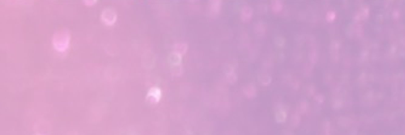 __miid's profile banner image