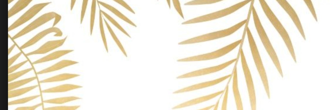 MarinFWasserman's profile banner image