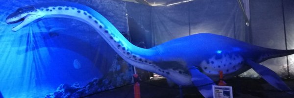 plesiosaurio72 Profile Banner