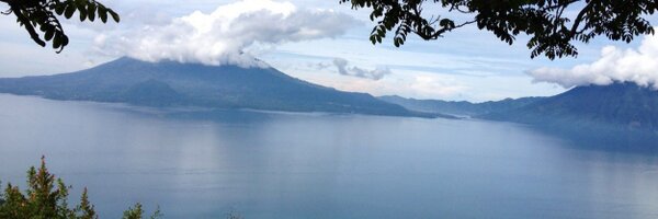 Chester_F3_Flea Profile Banner