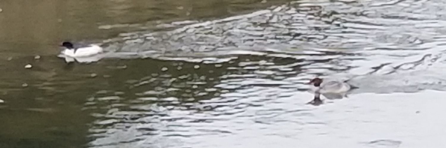Aquatic Ecologist banner