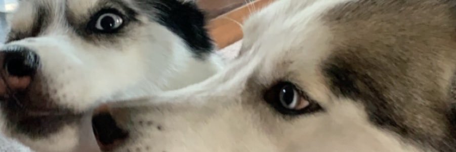 heather_geiger's profile banner image