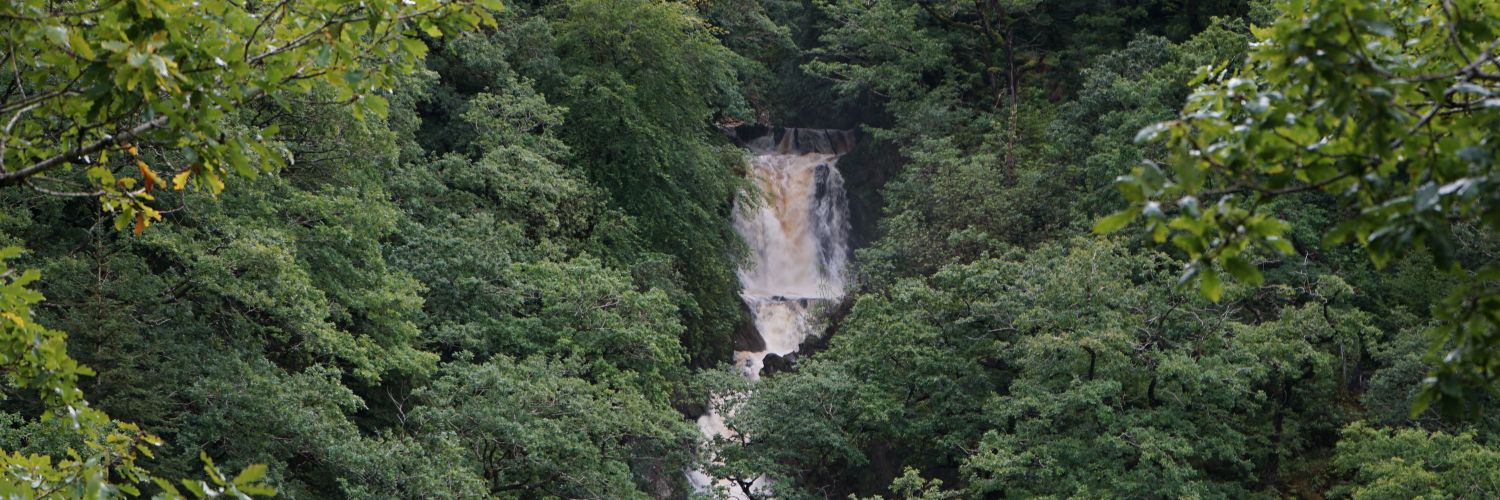Emily Davison banner