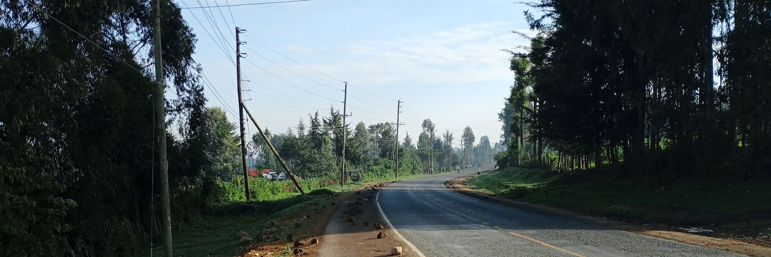 Nonny Nyar Lang'o 🇰🇪🇳🇴 banner