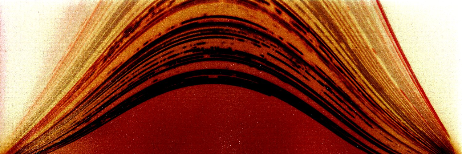 Brian Bartel @bbartel.bsky.social banner