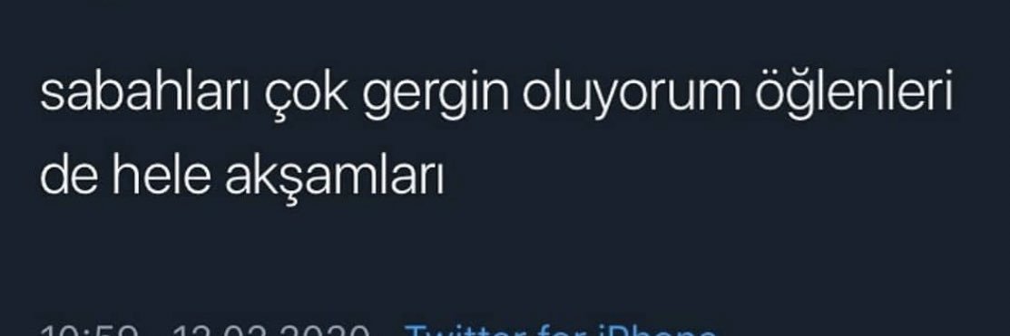 gül banner