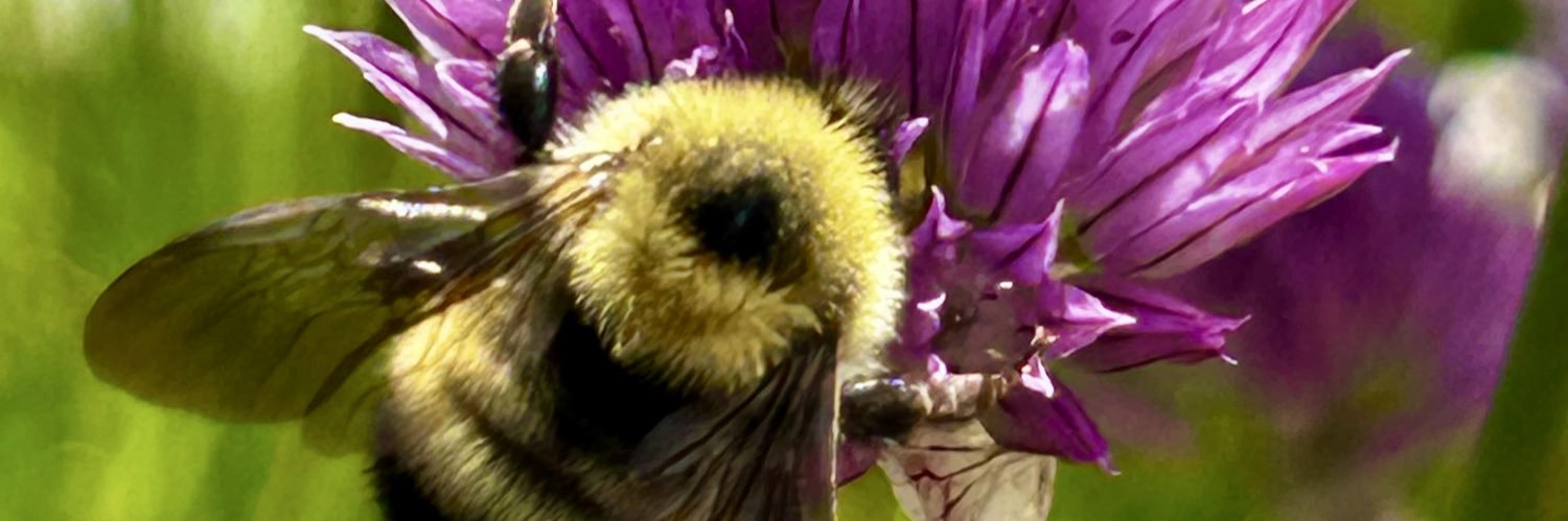 GMarrooWriter's profile banner image