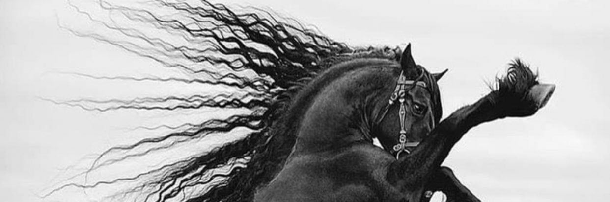 aldosseri66's profile banner image