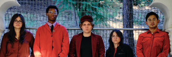 VelvetStarlings Profile Banner