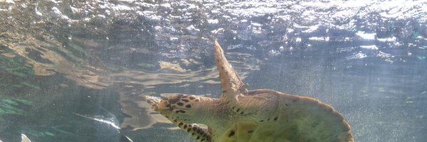 coldmilk_12 Profile Banner