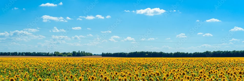 Wall of Drones 🇺🇦 banner