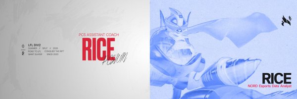 RiceBLoL Profile Banner