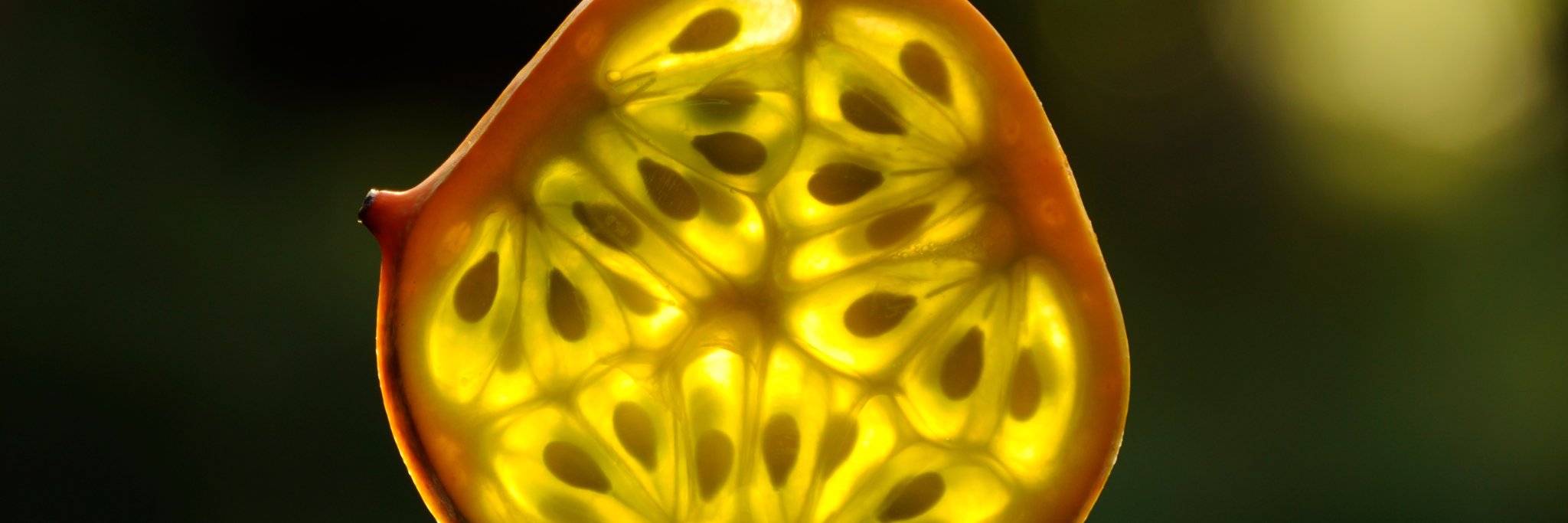 Flowstone Distillery banner