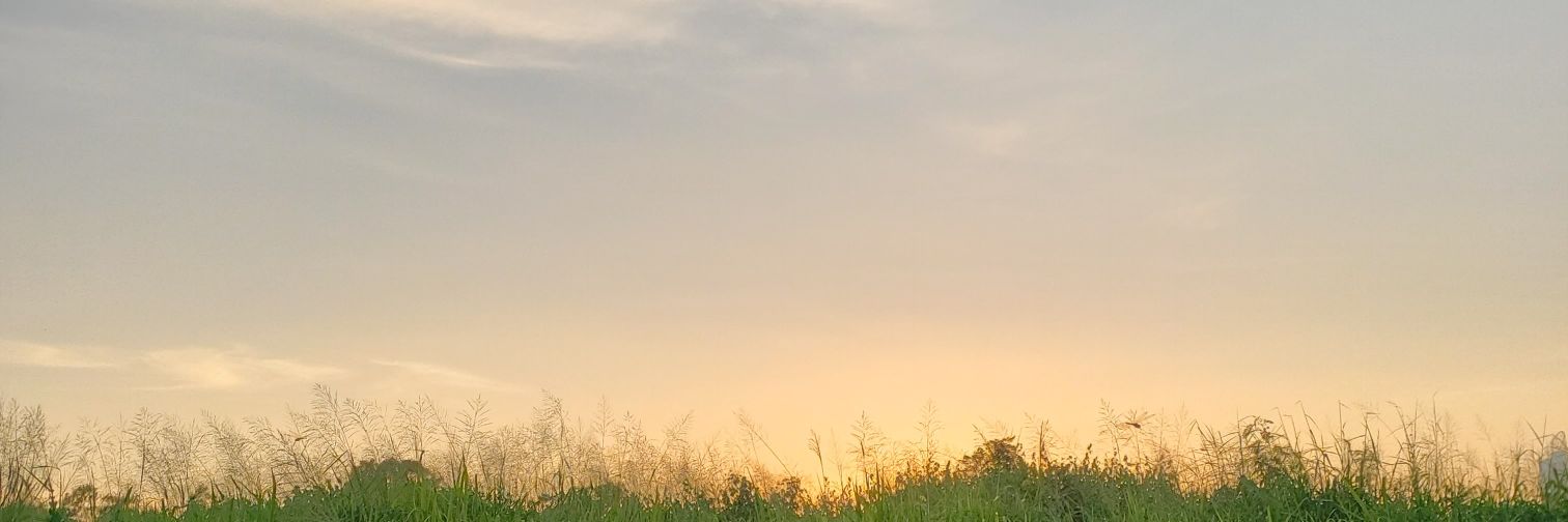 biazupem's profile banner image