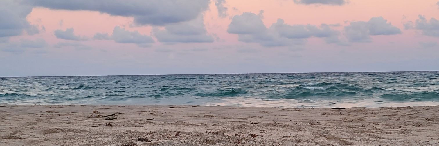 RLivelyPhD's profile banner image
