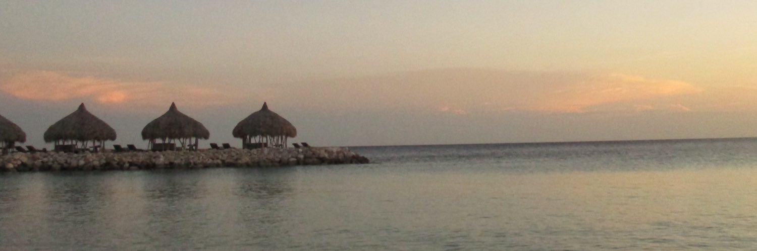 gabby pulsipher banner