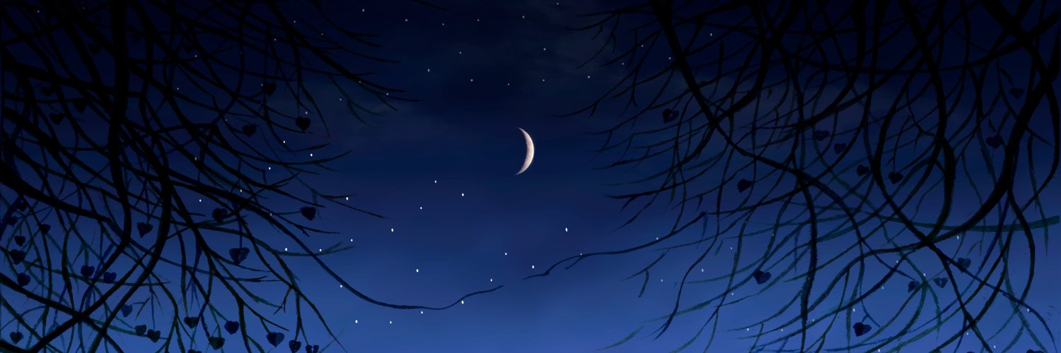 magicofpolarity's profile banner image