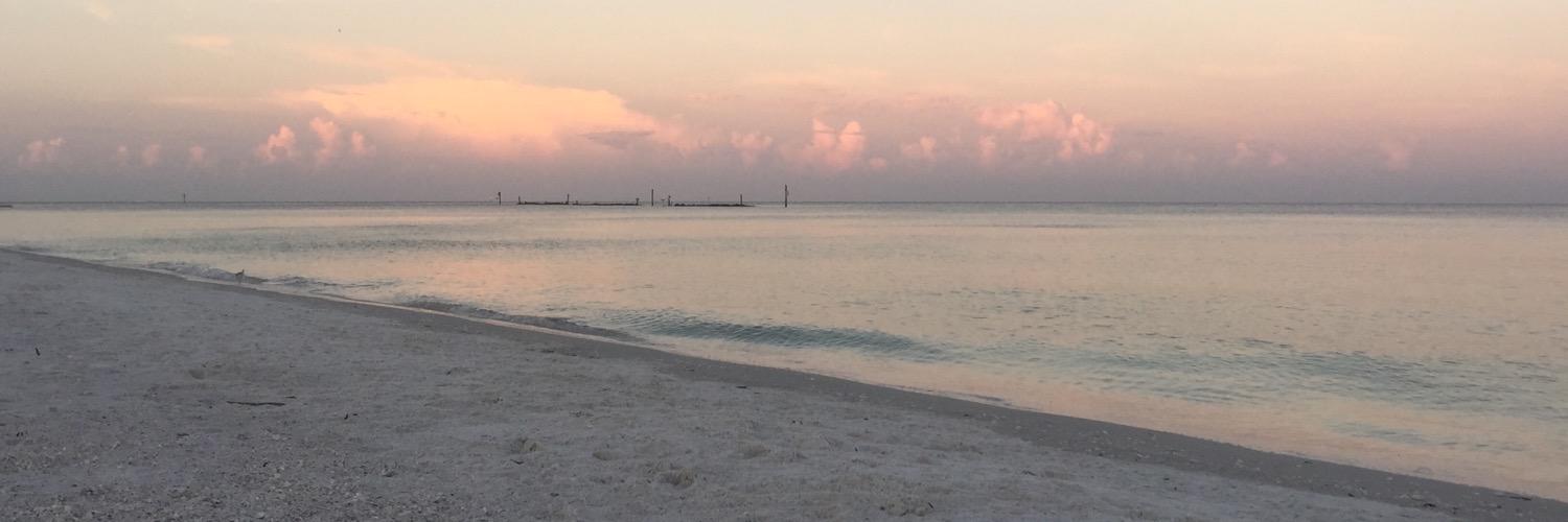 chrissyfitz611's profile banner image