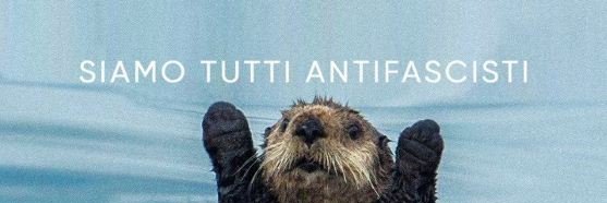 Daniel Gervilla Rosa banner