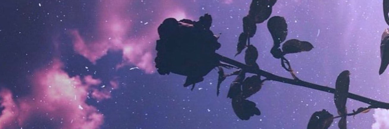 Nuks_M's profile banner image