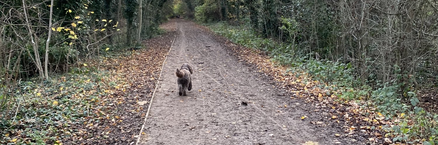 Nicole Daybell banner