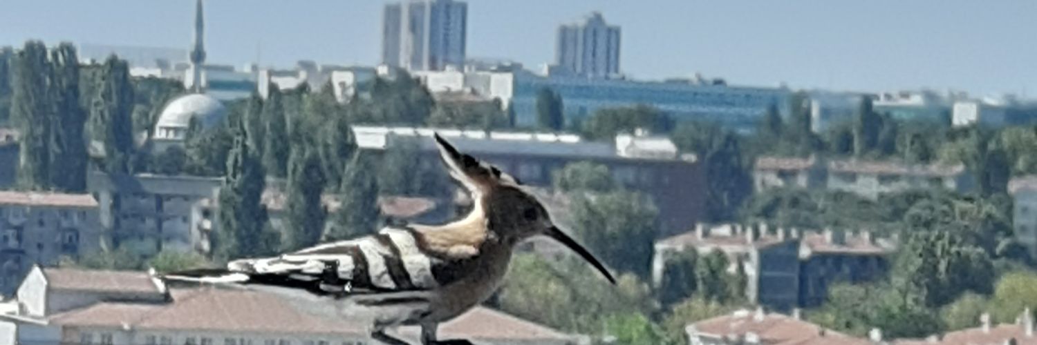 abdbtr's profile banner image