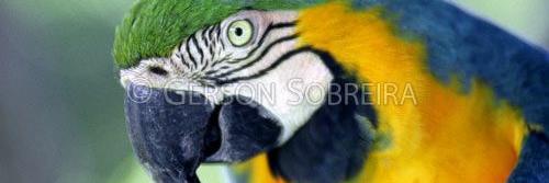 Hueberson's profile banner image