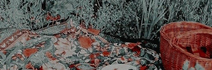 nd. banner