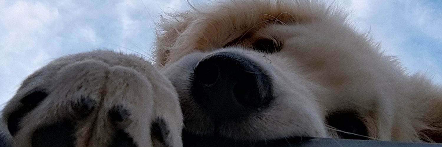 sandr085's profile banner image