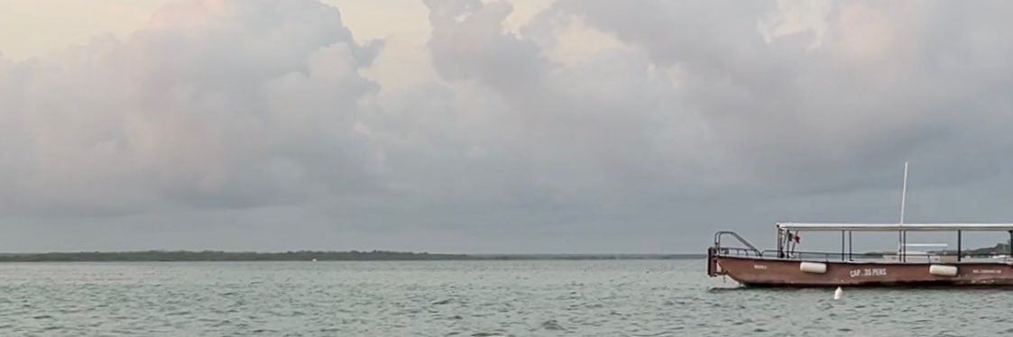 dan banner