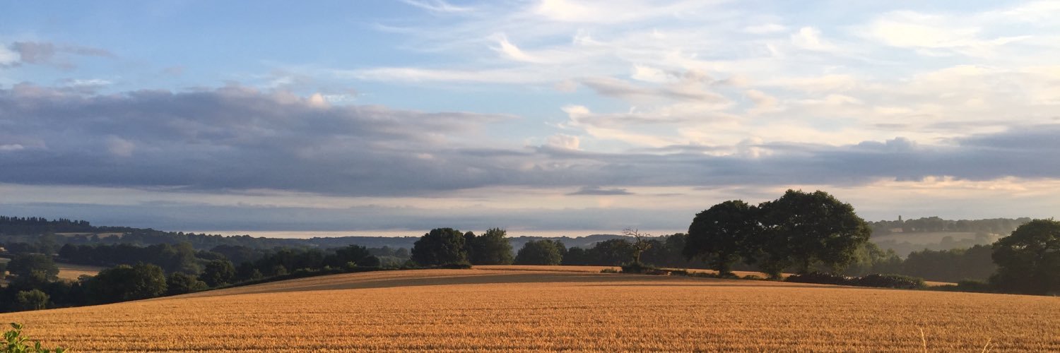 stefseddon's profile banner image