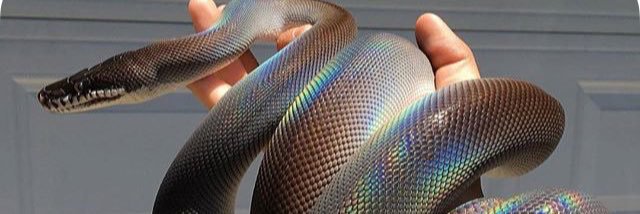 Suggarjp26's profile banner image
