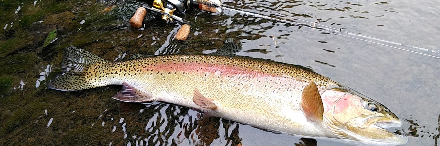 Angler-Y with 釣り垢猫部 banner