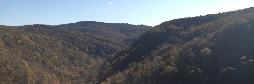 LorraDay's profile banner image