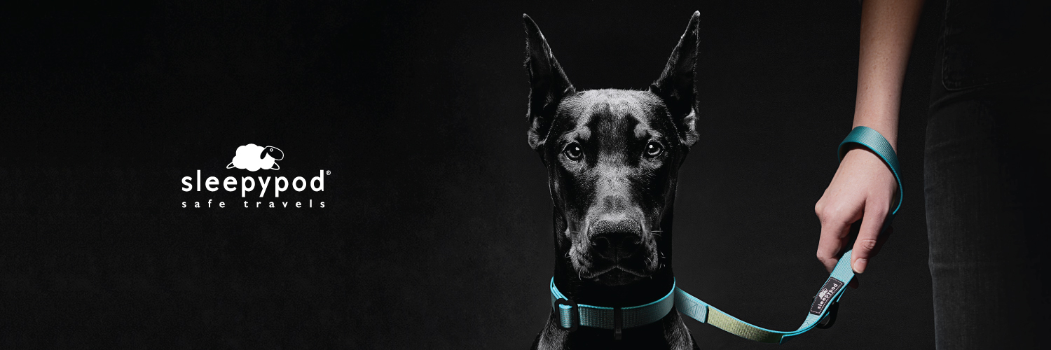 sleepypod's profile banner image
