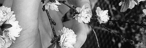 idjits_x's profile banner image