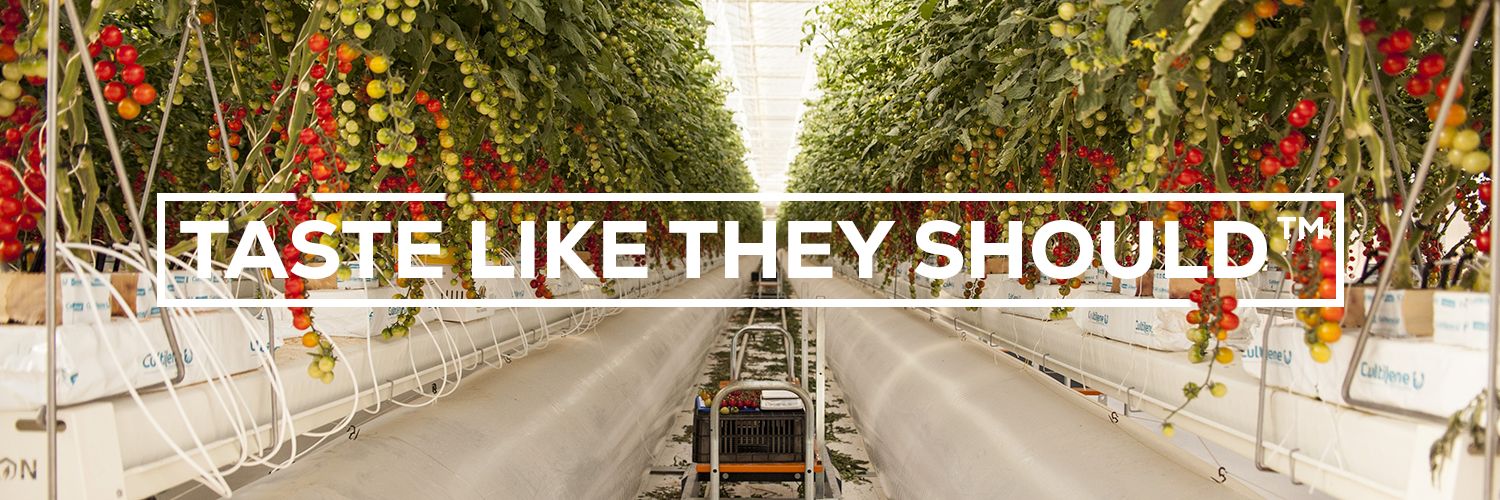 Pure Harvest Smart Farms banner