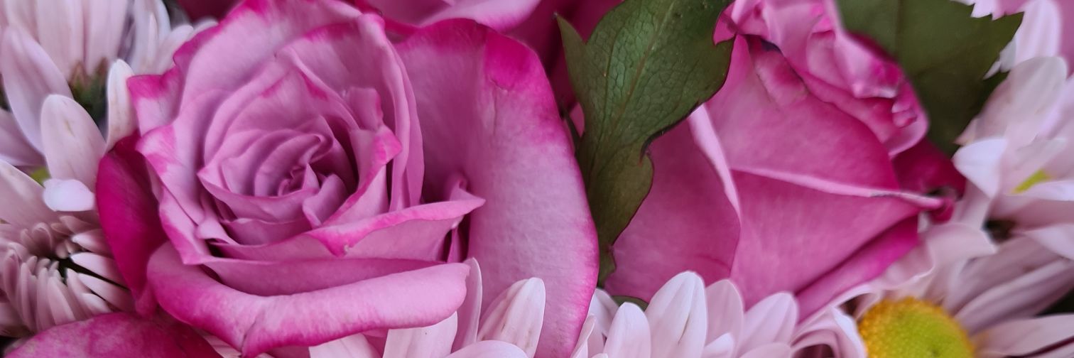 Hitlersita's profile banner image