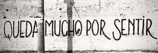 miscinco's profile banner image