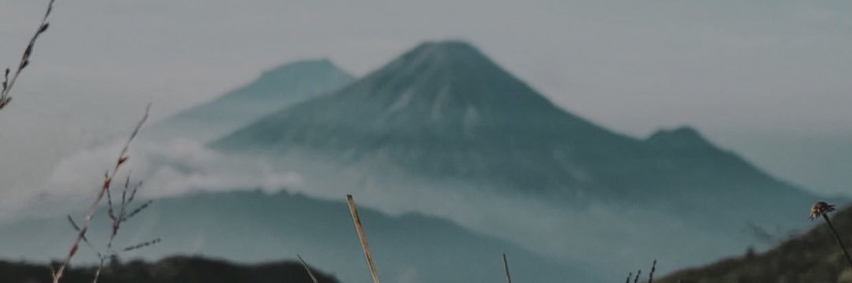 cococbelluc's profile banner image