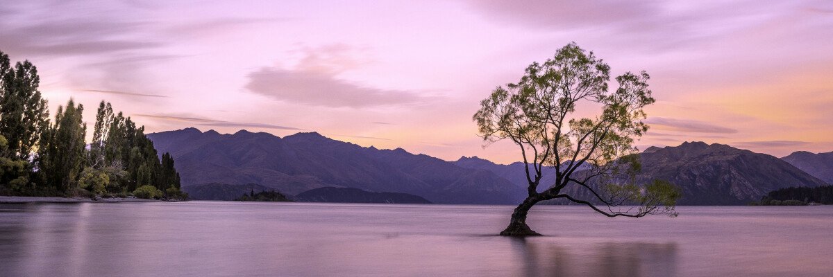 Sports Critique banner